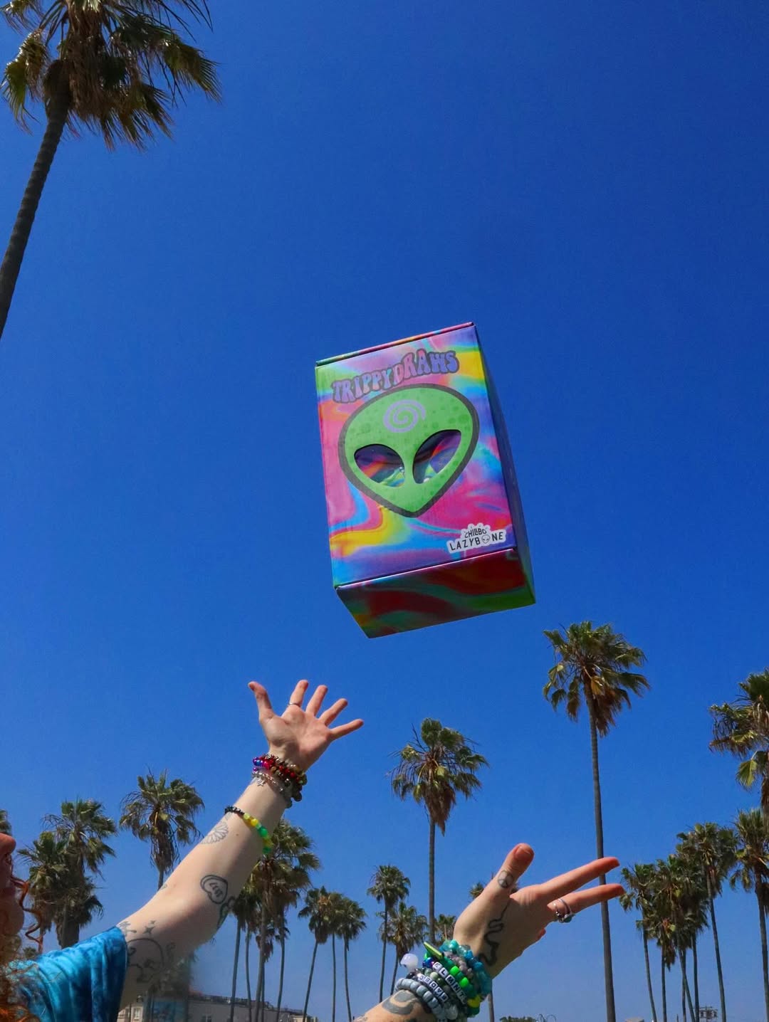 Trippydraws X Chillbo Lazybone